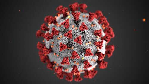 coronavirus